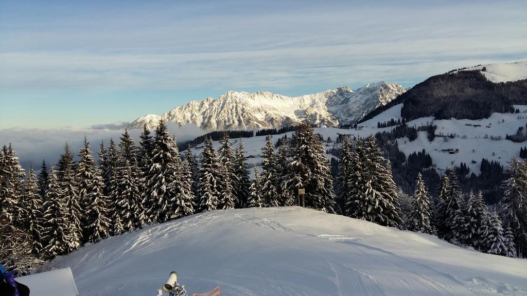 Apartments Scheffau Scheffau am Wilden Kaiser Kültér fotó